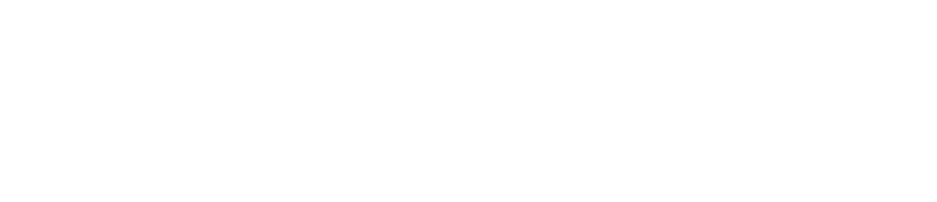 YeetServer Logo